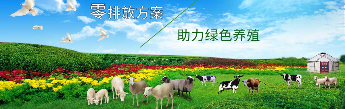 &#29699;&#36895;&#20307;&#32946;&#40;&#20013;&#22269;&#41;&#23448;&#26041;&#32593;&#31449;&#45;&#119;&#101;&#108;&#99;&#111;&#109;&#101;